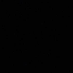 Meet your Posher, Safiya